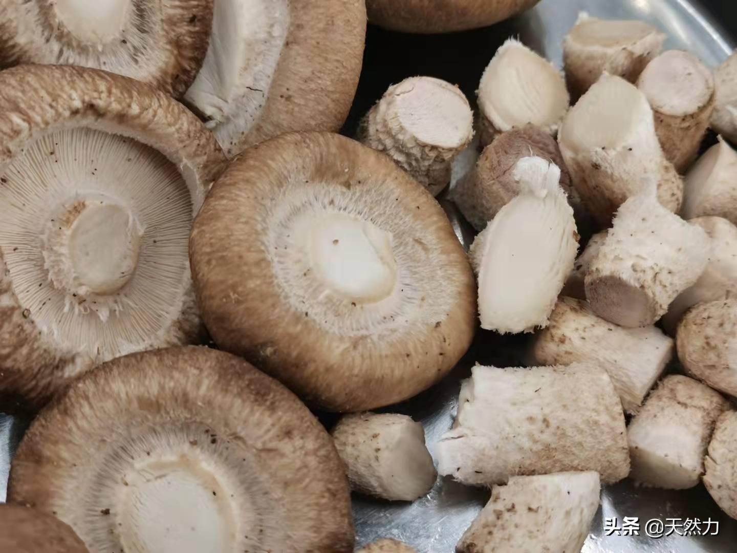 新鲜香菇怎么做好吃又简单（炒香菇的家常做法）