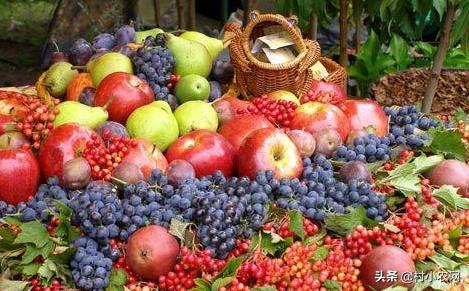 秋天的果实有哪些品种（分享秋季水果大全）