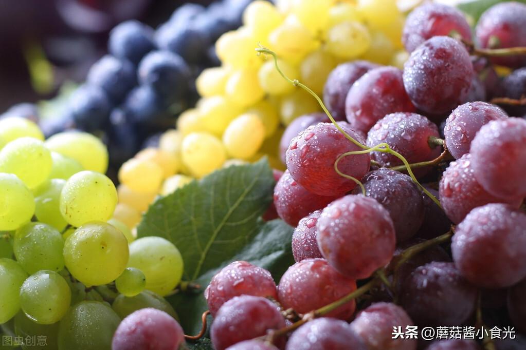 葡萄和提子的区别营养价值（关于葡萄与提子的不同之处）