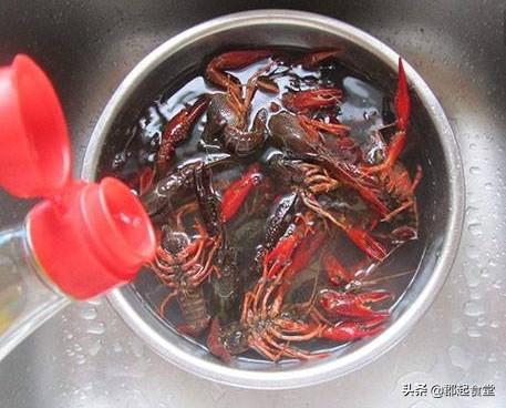 龙虾怎么洗简单又干净（分享龙虾的清洗方法）