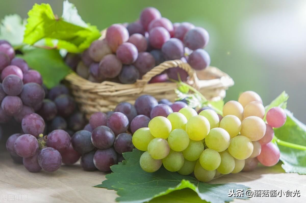 葡萄和提子的区别营养价值（关于葡萄与提子的不同之处）